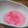 赤毛のあんこ's cooksnap of when they made 桜の花のジャム.
