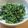 daikanon's cooksnap of when they made 超簡単！空芯菜の塩炒め.