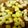nekox2n's cooksnap of when they made 夏野菜で簡単ラタトゥユ★.