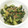 Yooboo's cooksnap of when they made 超簡単　青梗菜ときゅうり炒め.