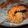 kokoa2号's cooksnap of when they made ザクザク美味しい♪あられ衣の海老フライ.