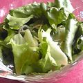 しおとも's cooksnap of when they made ●レタスが沢山食べられる簡単サラダ●.