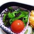 しろくまラッコ's cooksnap of when they made ピーマンの塩昆布和え.