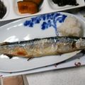 eiyoushi's cooksnap of when they made さんまの美味しい焼き方＆きれいな食べ方.