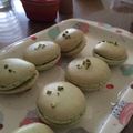 コロペコちゃん's cooksnap of when they made ピスタチオマカロン.