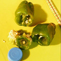 Matilda★'s cooksnap of when they made 簡単‼ピーマンの種の取り方.