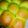 のぶよっしー's cooksnap of when they made 野菜パウダー（ブロッコリー）のちぎりパン.