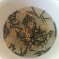 トロトトロ's cooksnap of when they made 夜食やダイエットに♪キヌア茶漬け.