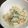 Ｌｅｋｋｅｒ！'s cooksnap of when they made 蓮根サラダ(ごまマヨ味).