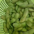 のみしょー's cooksnap of when they made 美味しい枝豆のゆで方.
