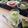 ツンドラ's cooksnap of when they made 枝豆豆腐.
