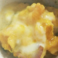 ハチ8コロ8's cooksnap of when they made かぼちゃとさつまいものミルク煮.