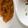 グランティラノス's cooksnap of when they made ＊離乳食中期＊かぼちゃのポタージュ.