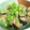 ウサ☆（・×・）'s cooksnap of when they made 茄子の大根おろし煮.