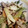 chipple3's cooksnap of when they made ししとうときのこの豚肉炒め.