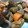 anomalo's cooksnap of when they made 簡単！定番の筑前煮.