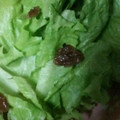 ma___111's cooksnap of when they made 簡単！レタスと梅干しのさっぱり和え.