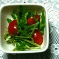 ma___111's cooksnap of when they made 水菜とトマトのにんにくたれサラダ.