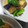 remipeco's cooksnap of when they made 茄子とピーマンの煮浸し.