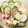 ♪ミチル♪'s cooksnap of when they made きゅうりと焼き豚☆ゴマサラダ.