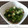 ちょこ☆ちょこ's cooksnap of when they made めんつゆで簡単☆オクラのゴマ和え.