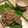 Gissele's cooksnap of when they made 秋刀魚のなめろう.