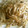 みがつくひと's cooksnap of when they made もやしとエリンギのオイスター炒め.