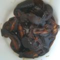 liutan's cooksnap of when they made もりもりシイタケ☆おいしい甘露煮☆.