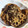 まりすけころすけ's cooksnap of when they made 無加水鍋でれんこんのそぼろきんぴら.