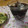 ゆけり３兄弟's cooksnap of when they made ちょびっと放置でｱｲｽｺｰﾋｰ♫.