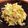 Ayako0713's cooksnap of when they made 練りがらしが隠し味♪キャベツの卵炒め.