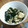 西ヶ原's cooksnap of when they made 【農家のレシピ】しめじとわかめの炒めもの.