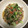 にむばすしゅたーぜん's cooksnap of when they made 豚肉とちんげん菜のあっさり炒め.