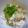 yukiはぴ's cooksnap of when they made 蒸し鶏と塩辛の和えたん.