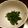 サトモユリア's cooksnap of when they made モロヘイヤのポン酢かけ.
