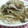みっくママ's cooksnap of when they made ちゃちゃっと♡豚丼.