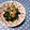 ＊marble＊'s cooksnap of when they made 和食の定番♪ほうれん草のお浸し.