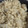蛙季☆'s cooksnap of when they made 冷凍OK！計り不要簡単きのこ炊き込みご飯.