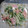 なおつん0802's cooksnap of when they made スモークサーモンとかいわれのマヨサラダ♪.