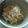 まだまだ見習い's cooksnap of when they made 秋の味♪ほっ栗ごはん～栗の皮剥き方付～.