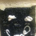komasan♪'s cooksnap of when they made 子供が好き☆朝食に海苔チーズマヨトースト.