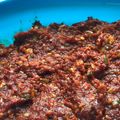 ノッケオ's cooksnap of when they made タテギ(韓国の常備辛味噌).