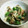 みずたま1616's cooksnap of when they made キノコとオクラの大根おろし和え.
