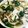 クックHGKJNK☆'s cooksnap of when they made 豆腐とニラのあんかけご飯.