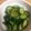 クックDXH24D☆'s cooksnap of when they made 自家製きゅうりのきゅうちゃん.