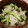 tokotann's cooksnap of when they made えのきとキュウリのとろとろ小鉢.