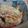 kajipi's cooksnap of when they made にんじんの白和え エゴマ入り.