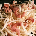 crystaI's cooksnap of when they made ウインナーともやしの炒めもの.