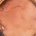 ドラミＳＰ's cooksnap of when they made クリームチーズで♪簡単ティラミス♡.