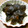 月見なっとう's cooksnap of when they made 我が家の万能煮汁で『椎茸の煮つけ』♬.